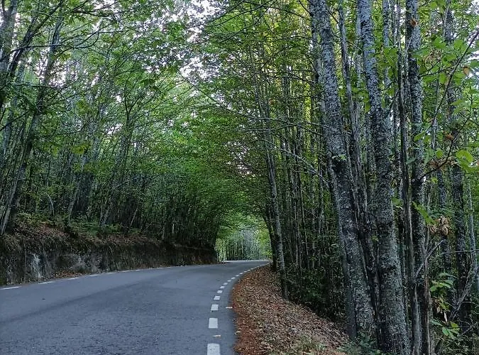 Casa Prázdninový dům *